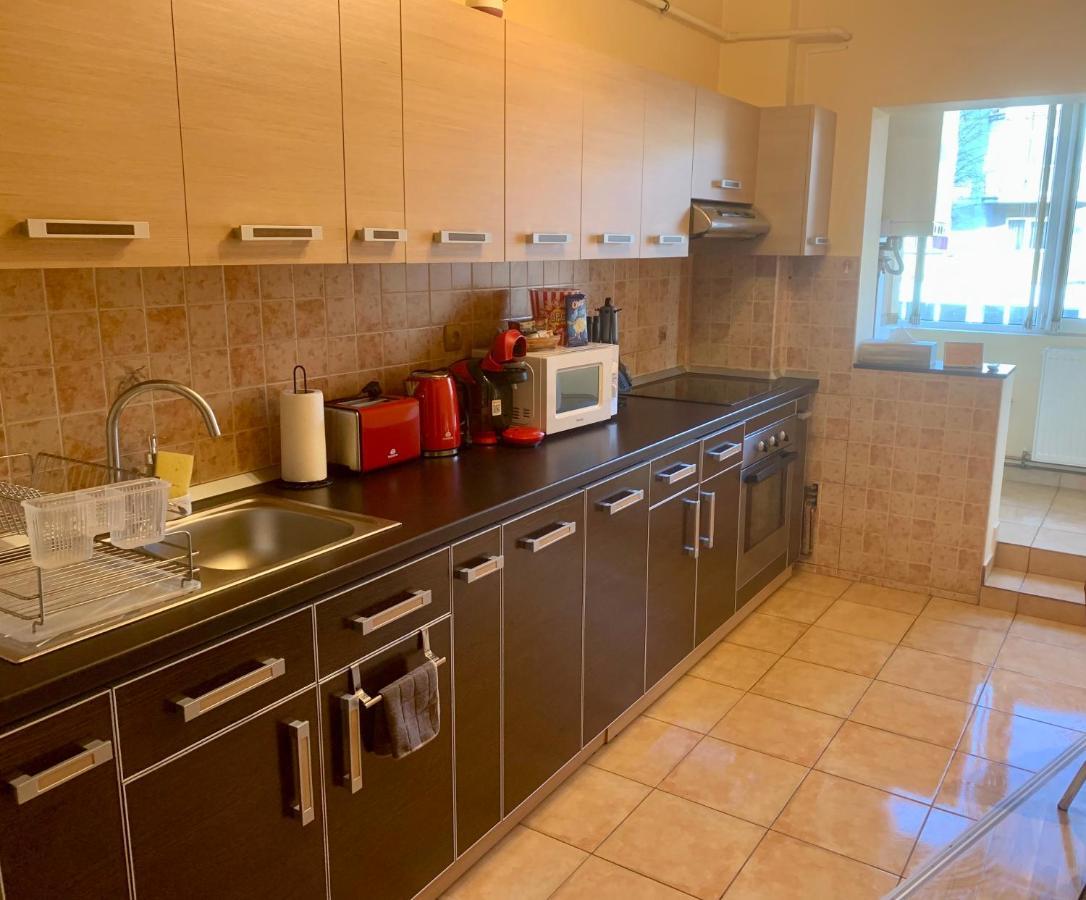 Jad - Family - Apartments - Zorilor Braşov Buitenkant foto