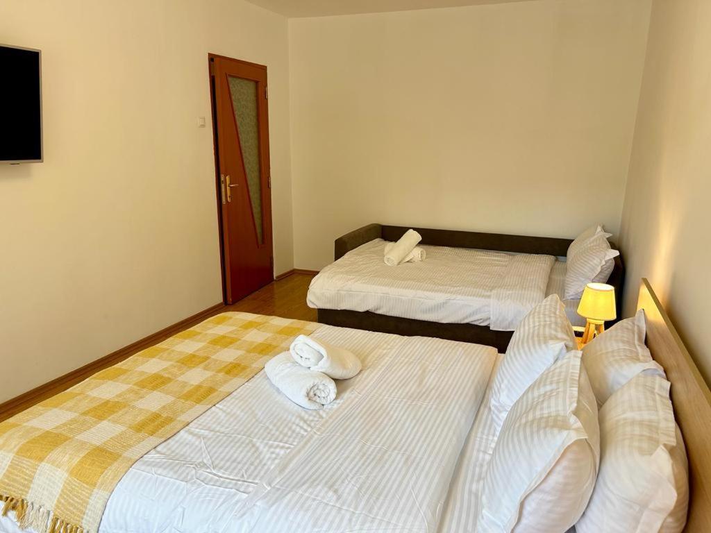 Jad - Family - Apartments - Zorilor Braşov Buitenkant foto