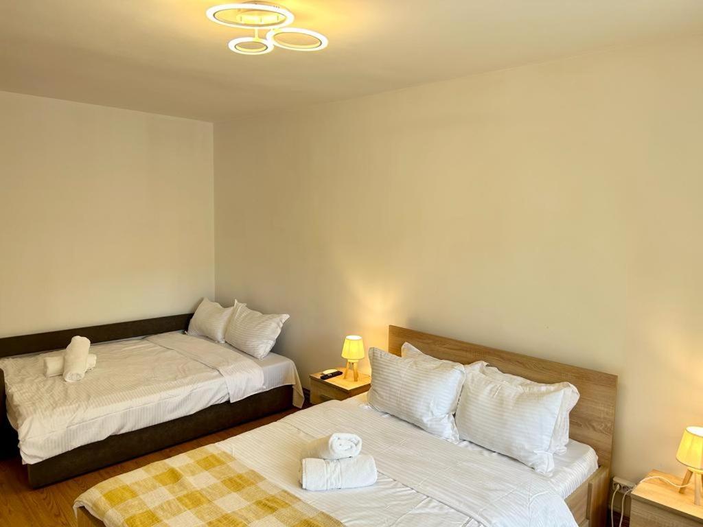 Jad - Family - Apartments - Zorilor Braşov Buitenkant foto