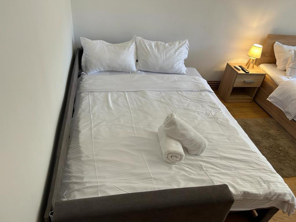 Jad - Family - Apartments - Zorilor Braşov Buitenkant foto