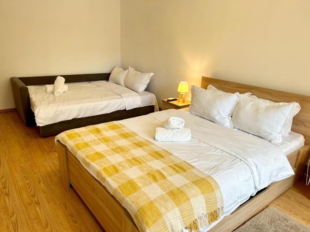 Jad - Family - Apartments - Zorilor Braşov Buitenkant foto