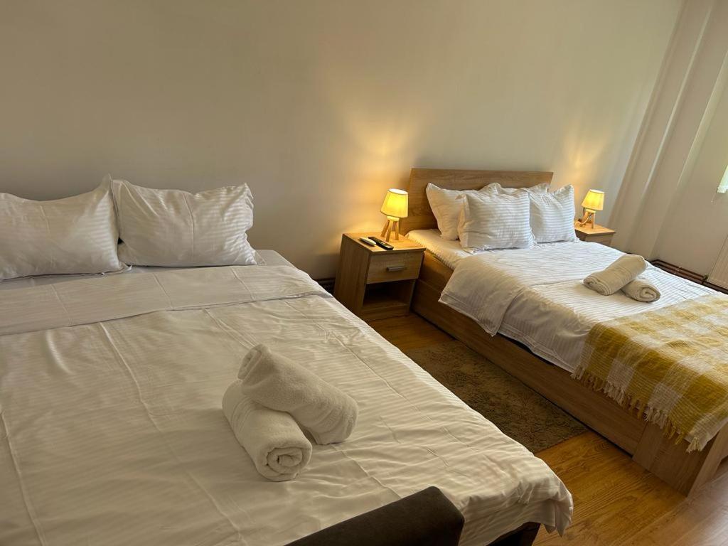 Jad - Family - Apartments - Zorilor Braşov Buitenkant foto